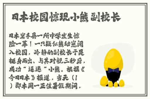 中国vodafonewifi性